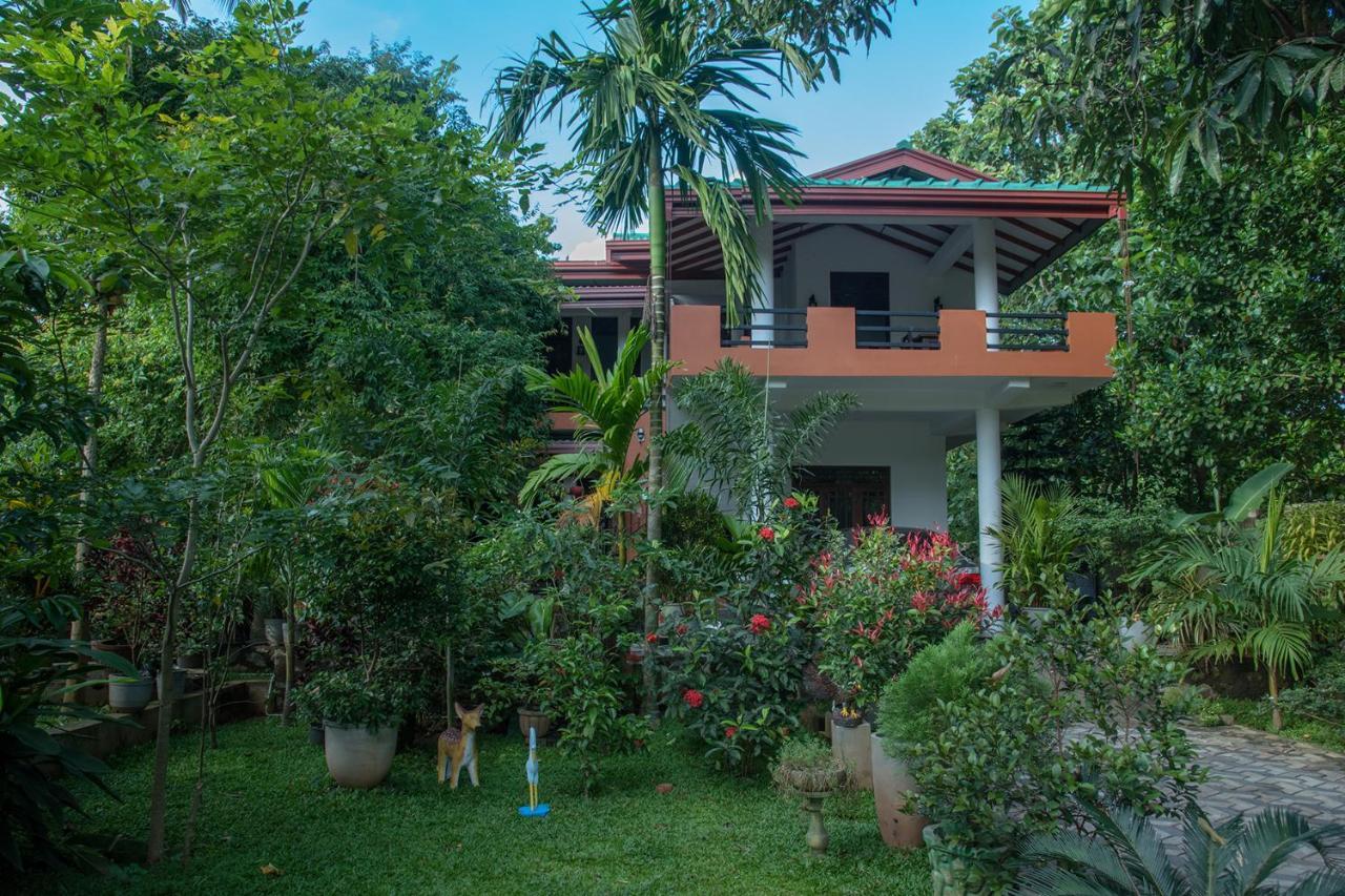 Sadee'S Place Dambulla Exteriér fotografie